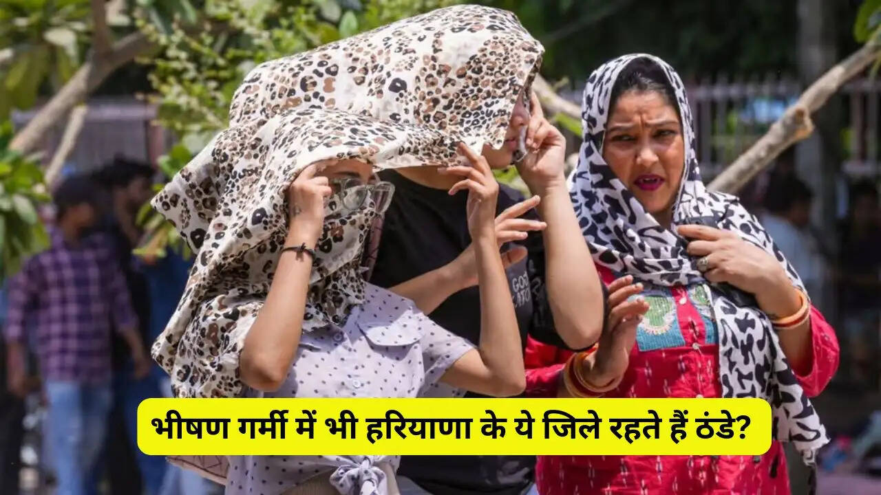 भीषण गर्मी&nbsp;में भी हरियाणा के ये जिले रहते हैं ठंडे? जाने डिटेल्स&nbsp;
