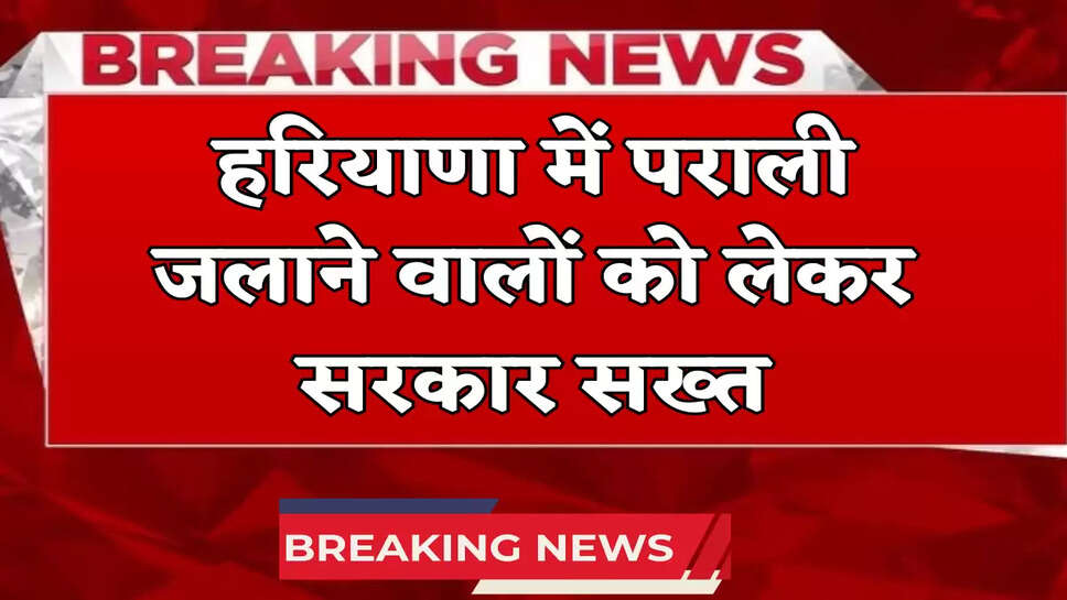 Haryana news