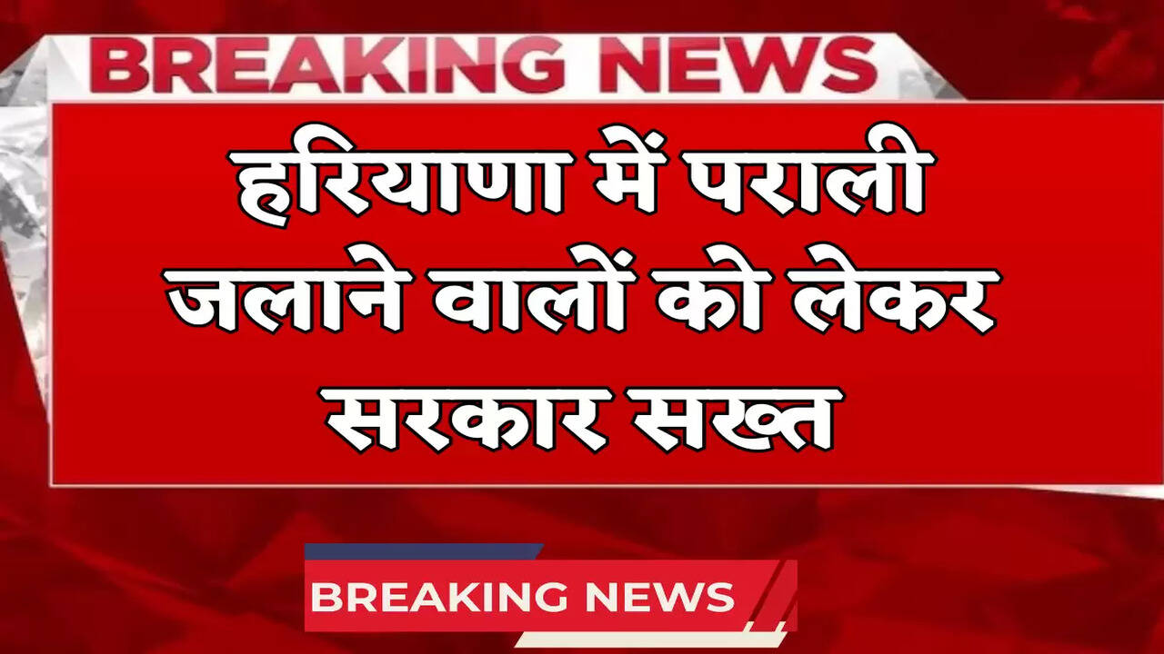 Haryana news