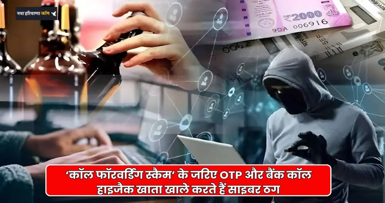 haryana news
