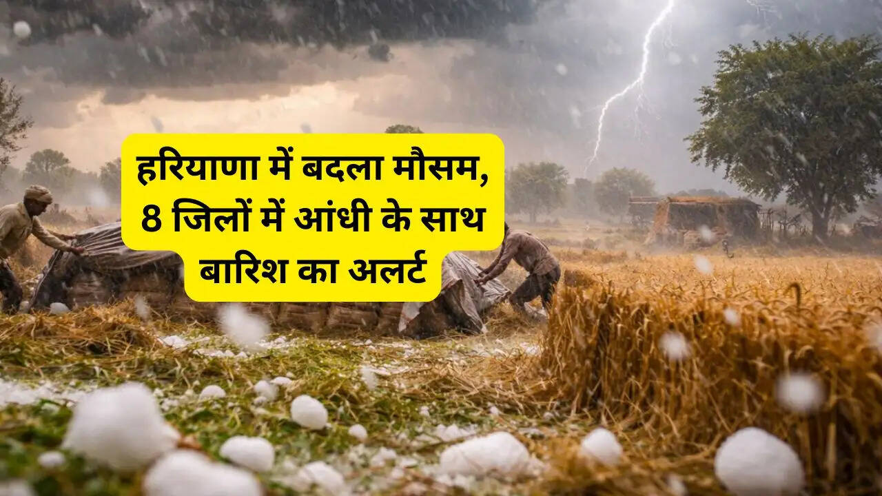 हरियाणा में बदला मौसम, 8 जिलों में आंधी के साथ बारिश का अलर्ट; जाने अगले तीन दिन की वेदर रिपोर्ट&nbsp;