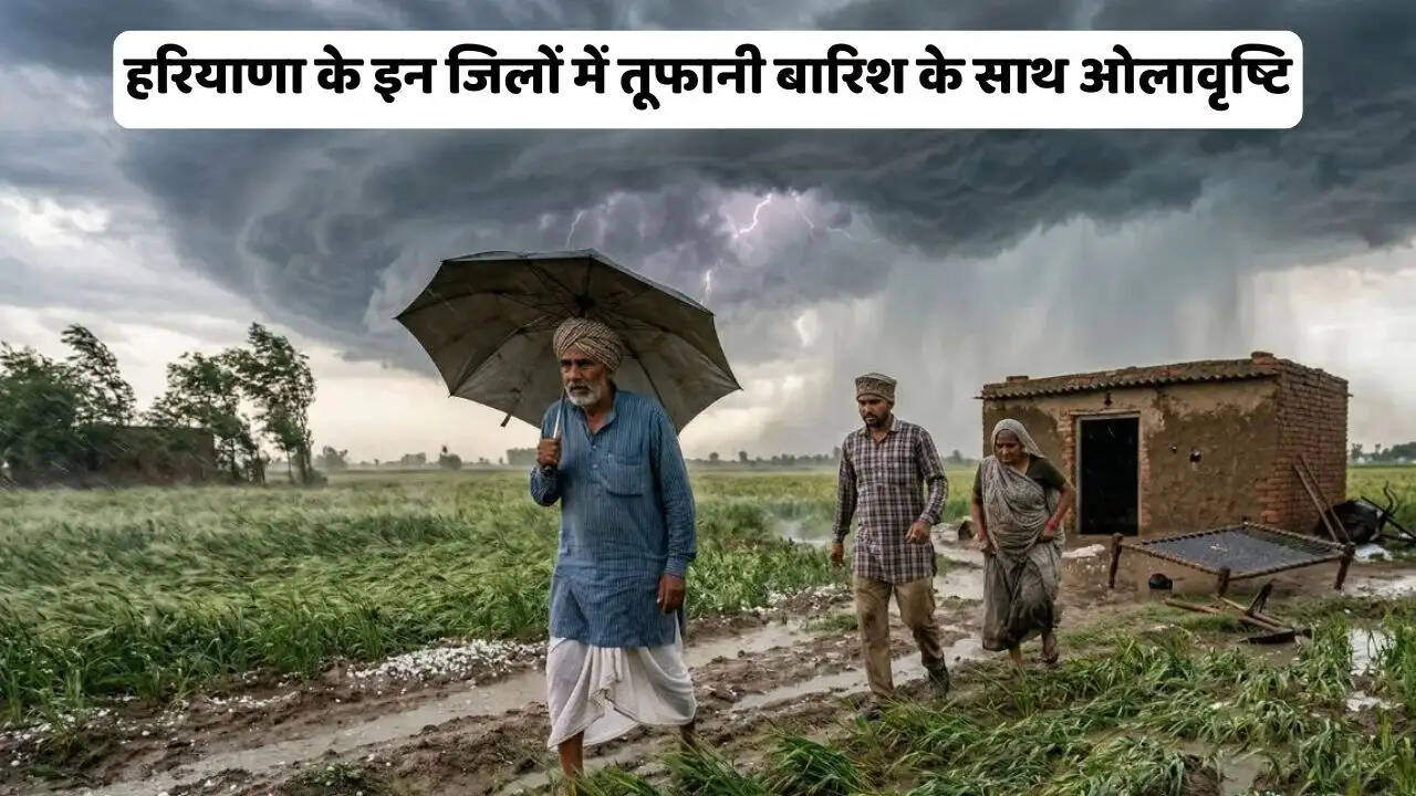 हरियाणा के इन जिलों में तूफानी बारिश के साथ ओलावृष्टि, 2 मई से फिर सक्रिय होगा पश्चिमी विक्षोभ