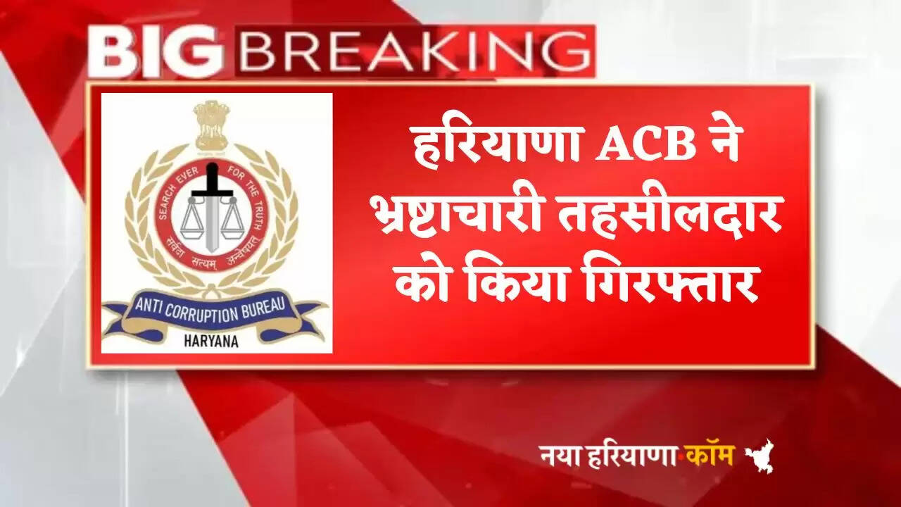 Haryana ACB arrested corrupt Tehsildar