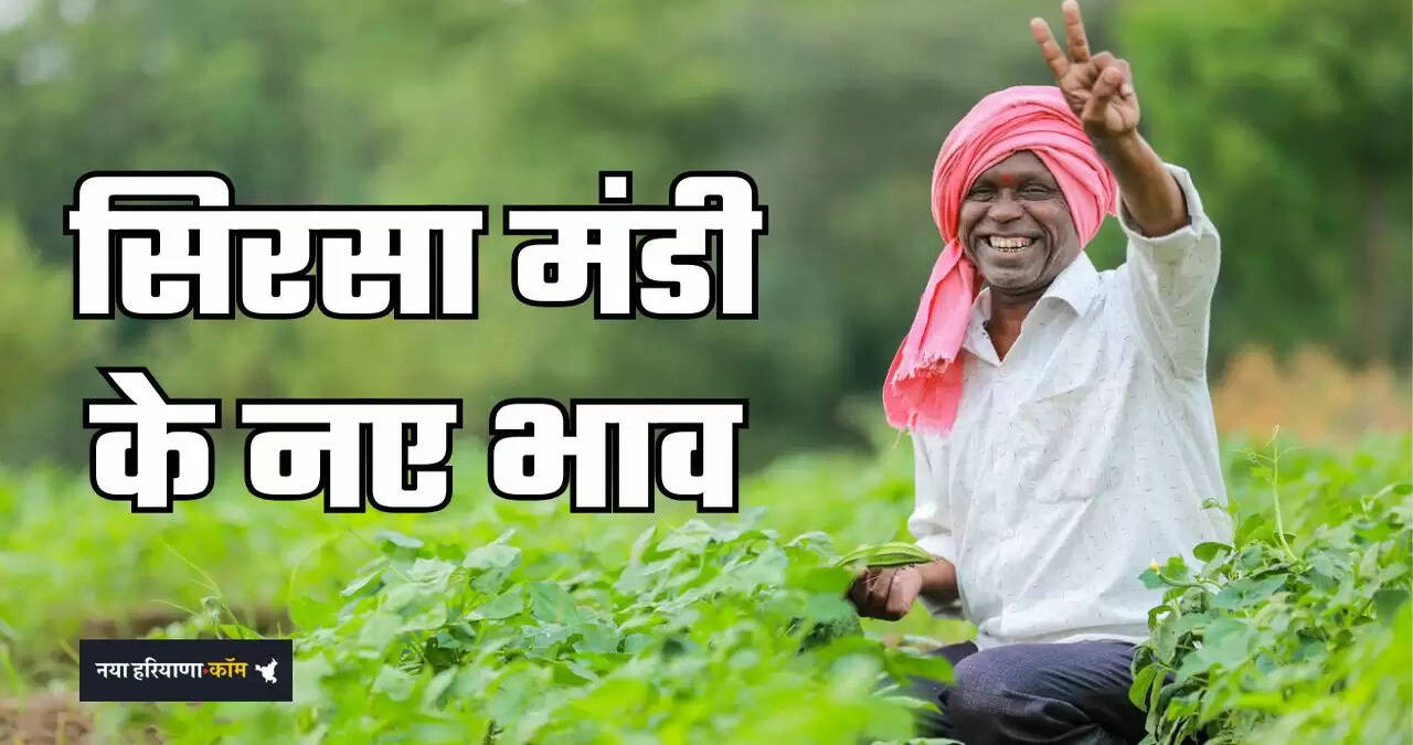 &nbsp;Mandi Bhav: हरियाणा की सिरसा मंडी में इस रेट पर बिकी आज फसलें, देखें नए भाव