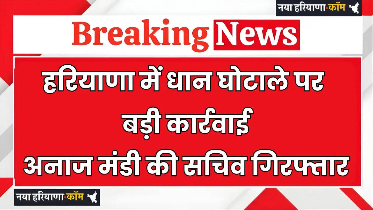 Haryana: हरियाणा में धान घोटाले पर बड़ी कार्रवाई, अनाज मंडी की सचिव गिरफ्तार