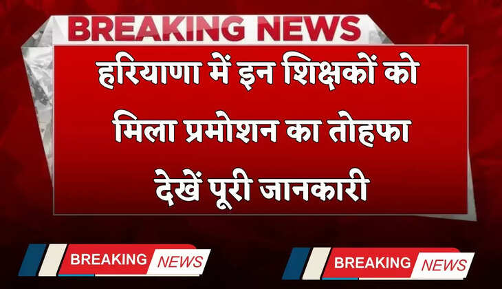 Haryana: हरियाणा में इन शिक्षकों को मिला प्रमोशन का तोहफा, देखें पूरी जानकारी
