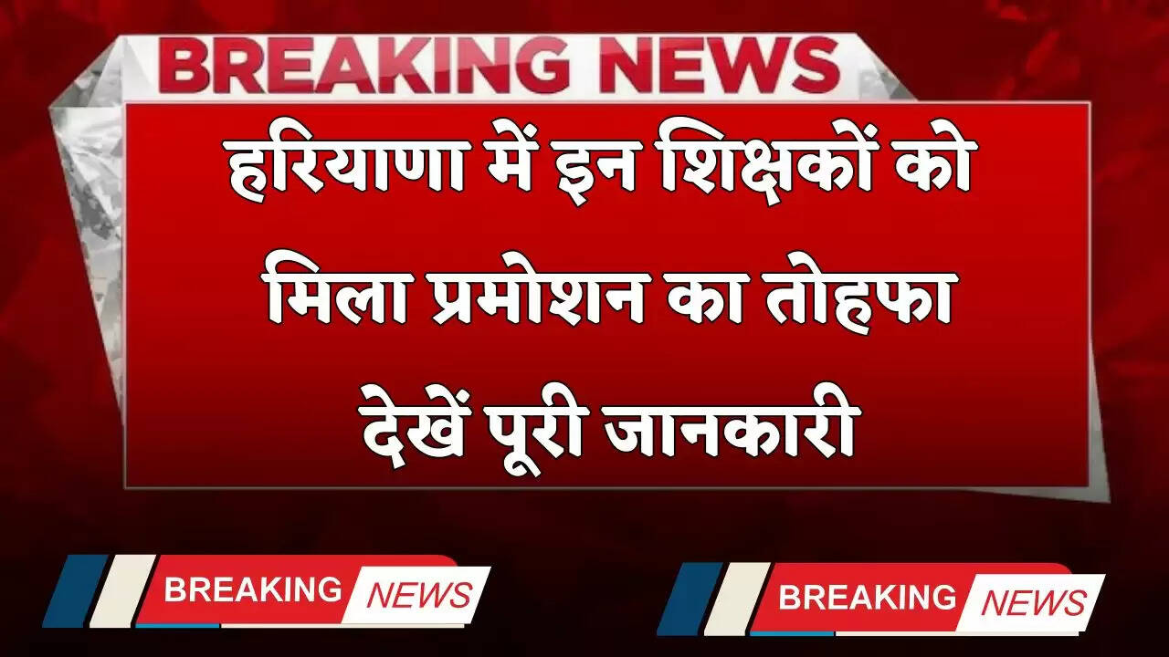 Haryana: हरियाणा में इन शिक्षकों को मिला प्रमोशन का तोहफा, देखें पूरी जानकारी
