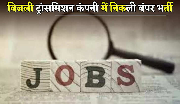 Bumper recruitment in power transmission company