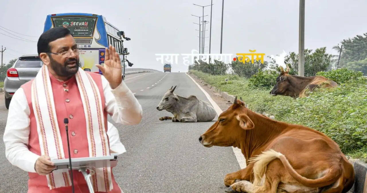 हरियाणा सरकार की बेहसहारा पशुओं को खुले में छोड़ने पर बड़ी कार्रवाई, पहली बार 11, दूसरी बार 21 और तीसरी बार होगी FIR