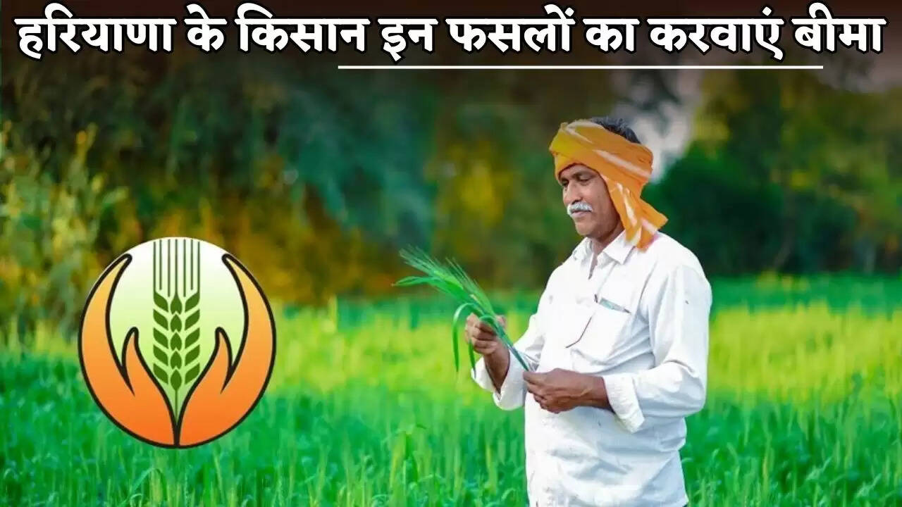 Farmers in Haryana should get these crops insured.