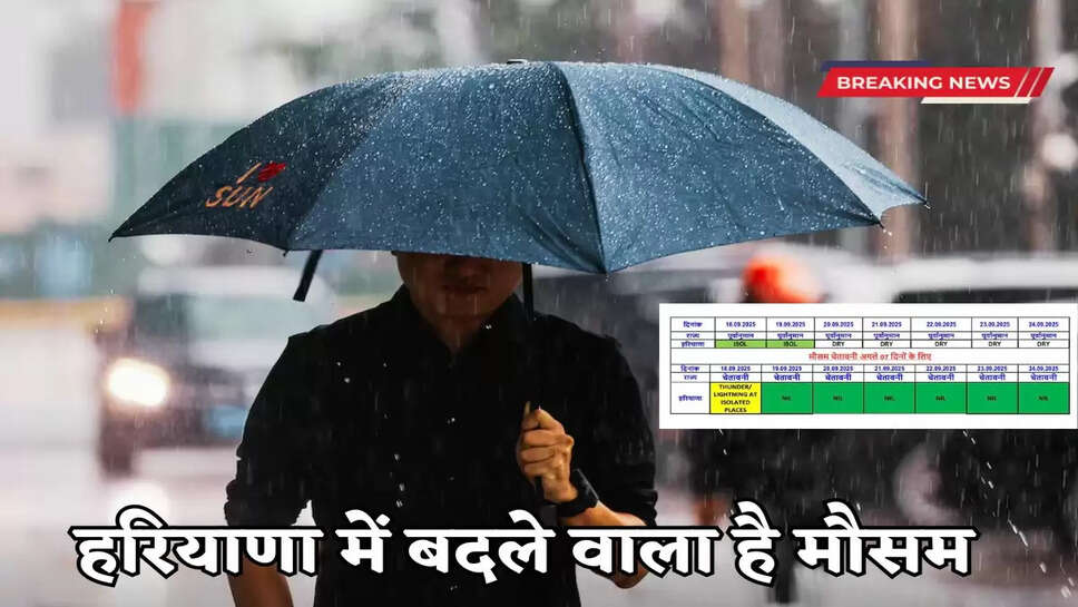 Haryana Weather Update