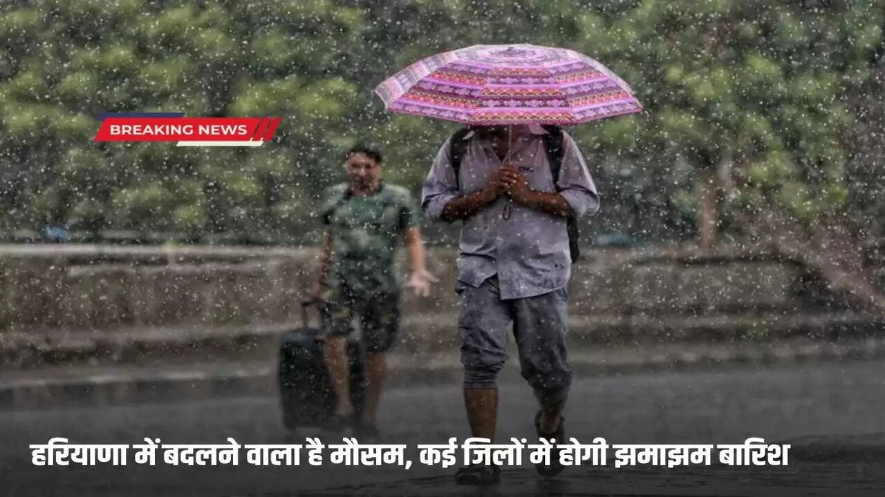 Haryana Weather Update heavy rain in eight districts today