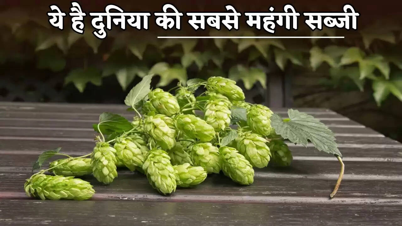 This is the world's most expensive vegetable.