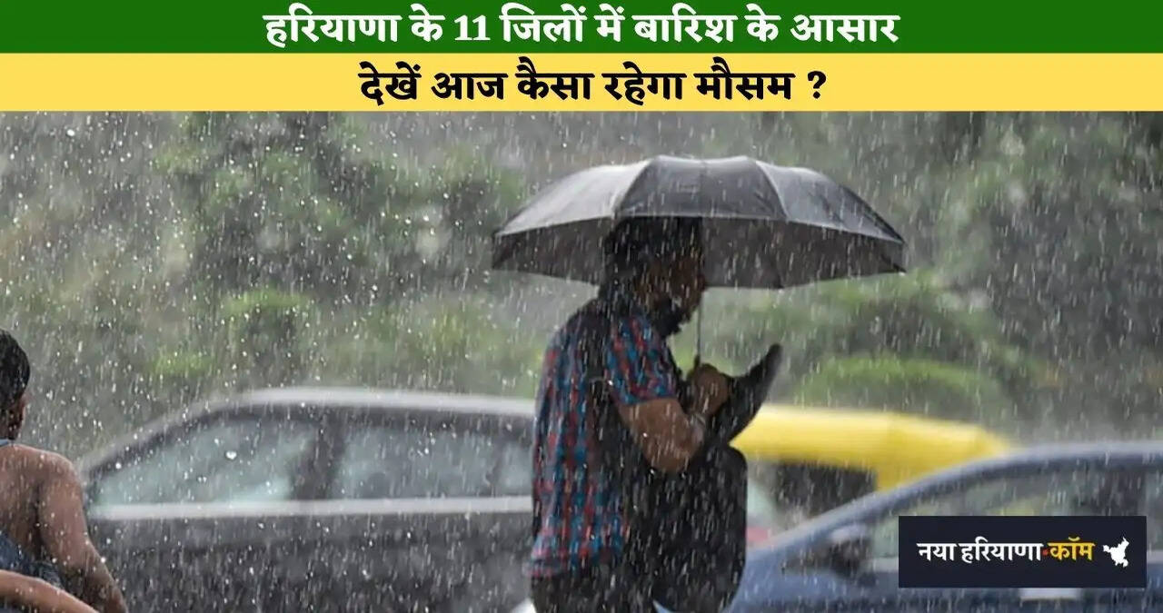 Haryana Weather: हरियाणा के पंचकूला- अंबाला समेत इन 11 जिलों में होगी बारिश, देखें मौसम विभाग का ताजा अपडेट