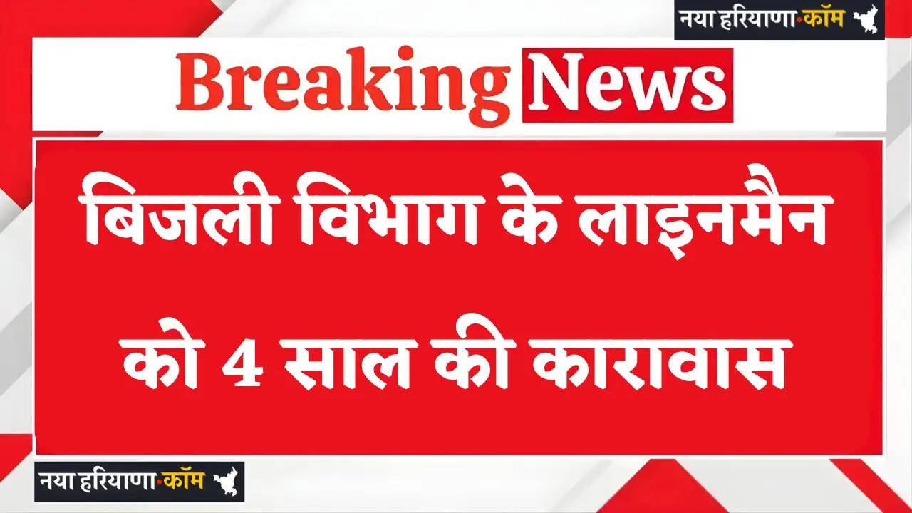 Electricity department lineman in Haryana