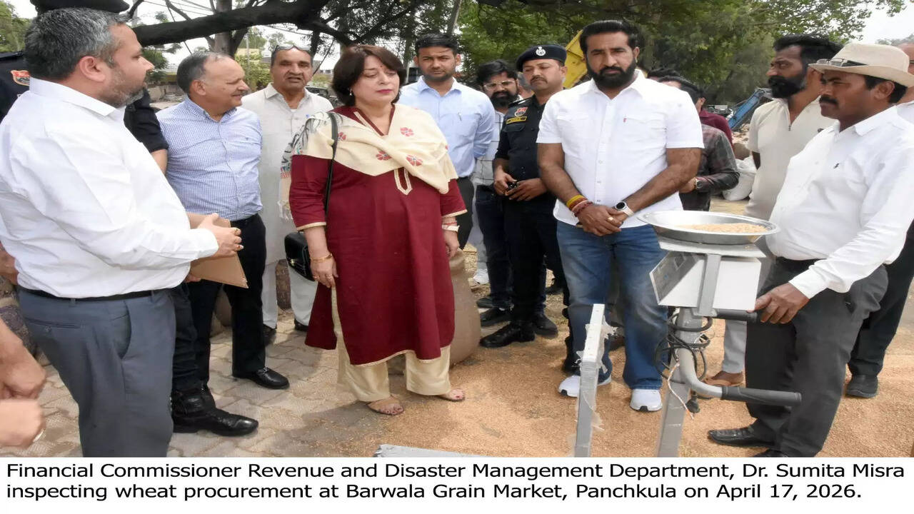 एफसीआर डॉ. सुमिता मिश्रा ने बरवाला अनाज मंडी का निरीक्षण कर व्यवस्थाओं का लिया जायजा, किसानों को 72 घंटे में भुगतान के दिए निर्देश