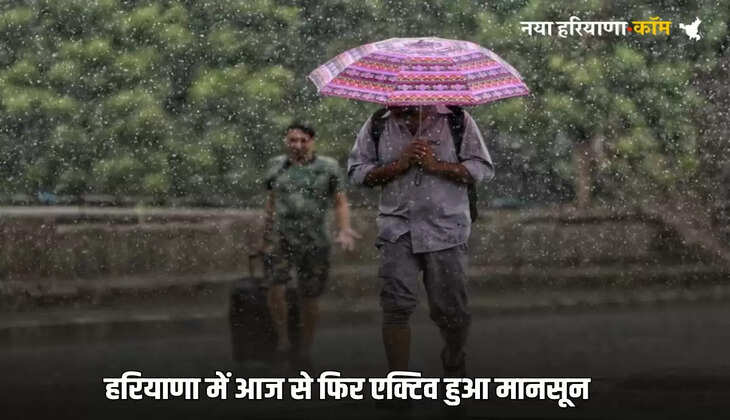 Monsoon became active again in Haryana from today