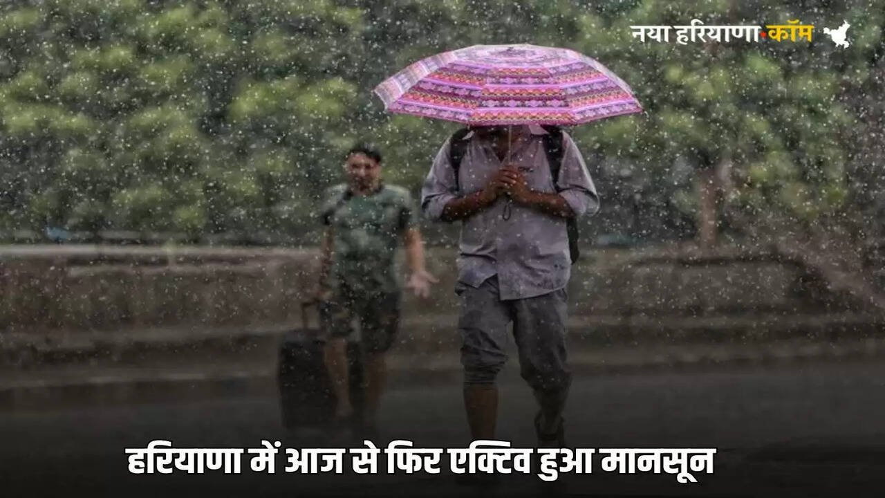 Monsoon became active again in Haryana from today