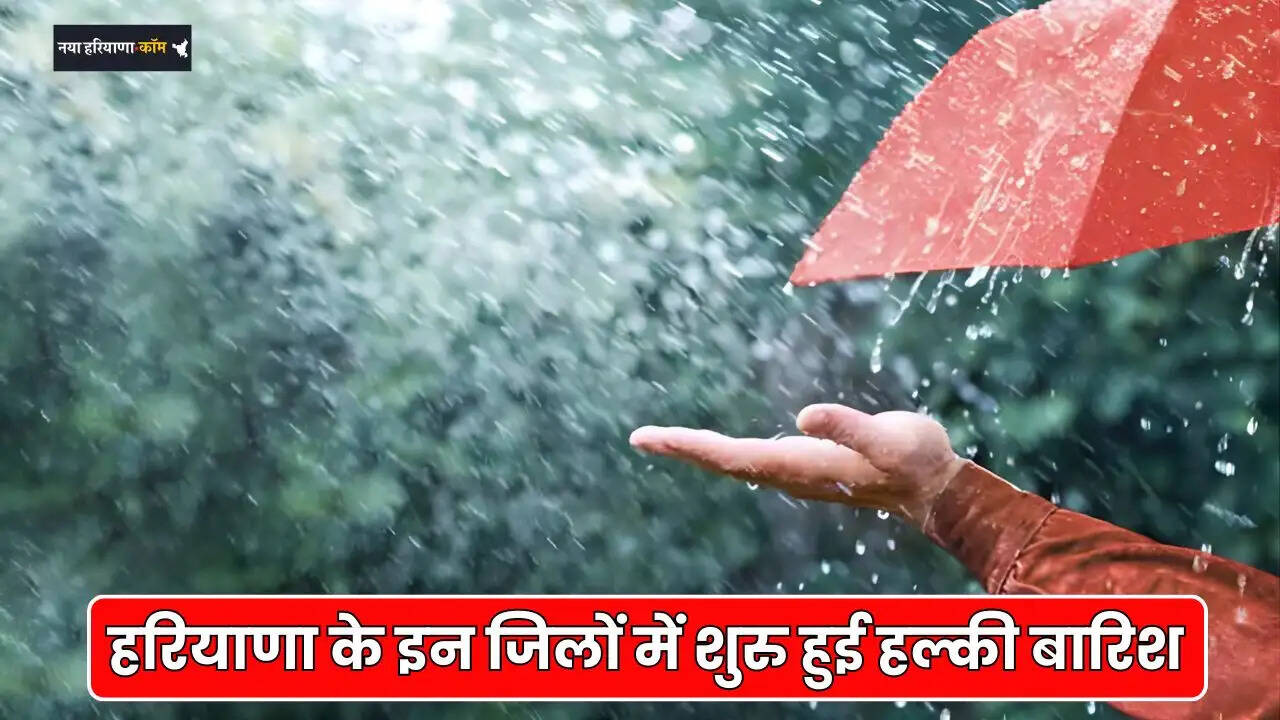 haryana rain alert