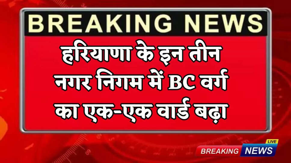 One ward of BC category increased in each of these three municipal corporations of Haryana