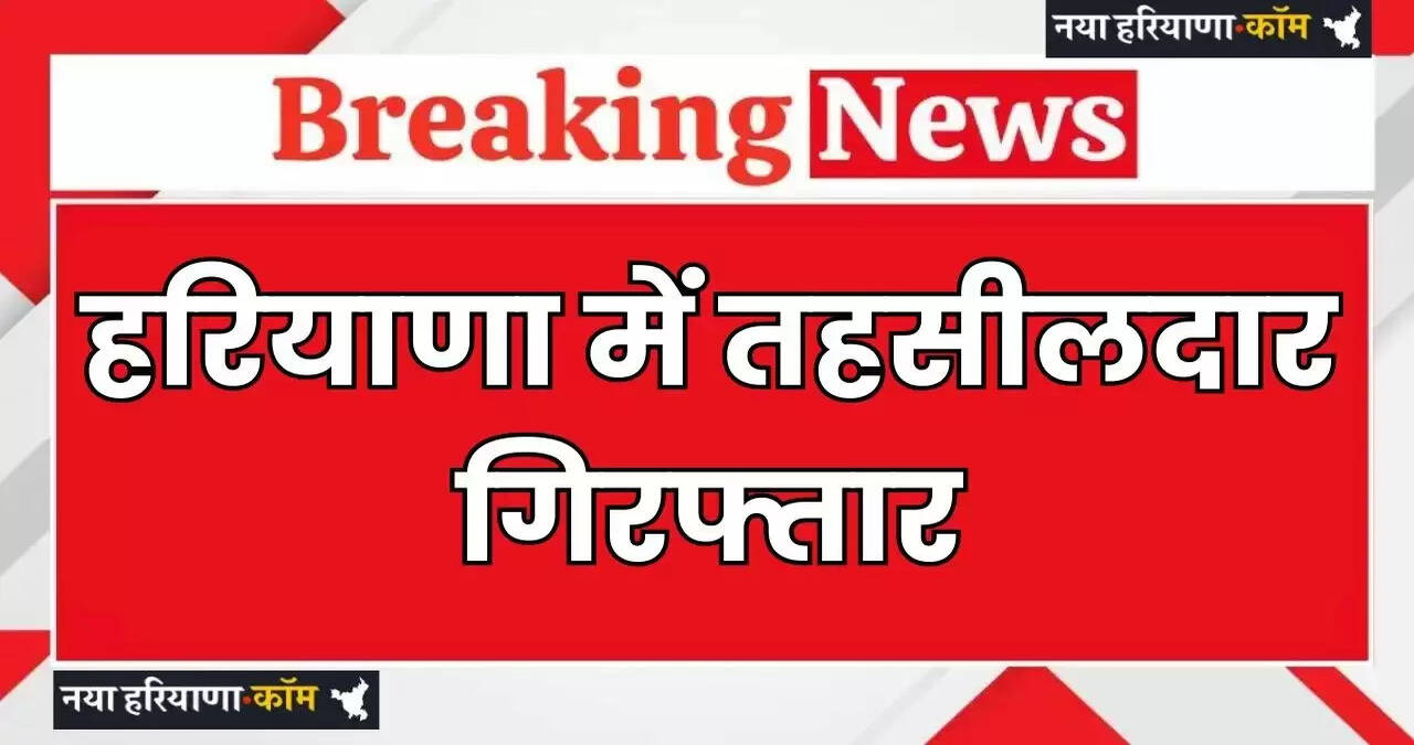 Haryana: हरियाणा में ACB टीम ने तहसीलदार को किया गिरफ्तार, जाने वजह ?