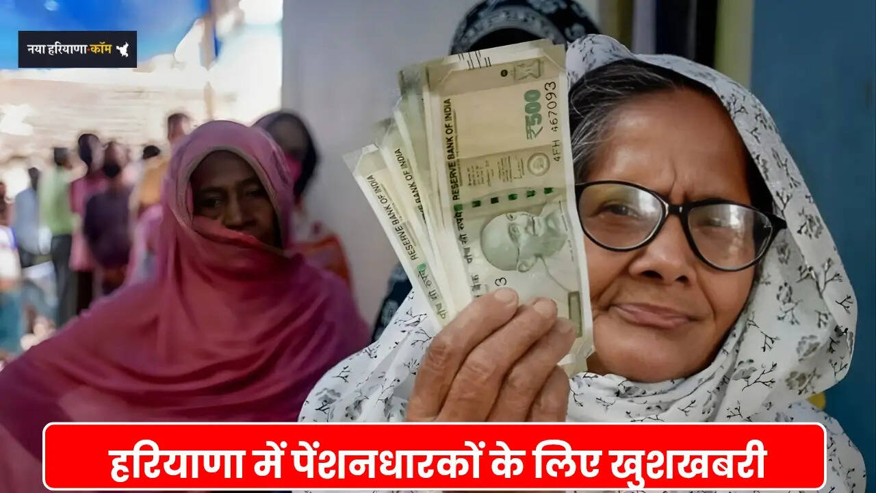 Haryana News 