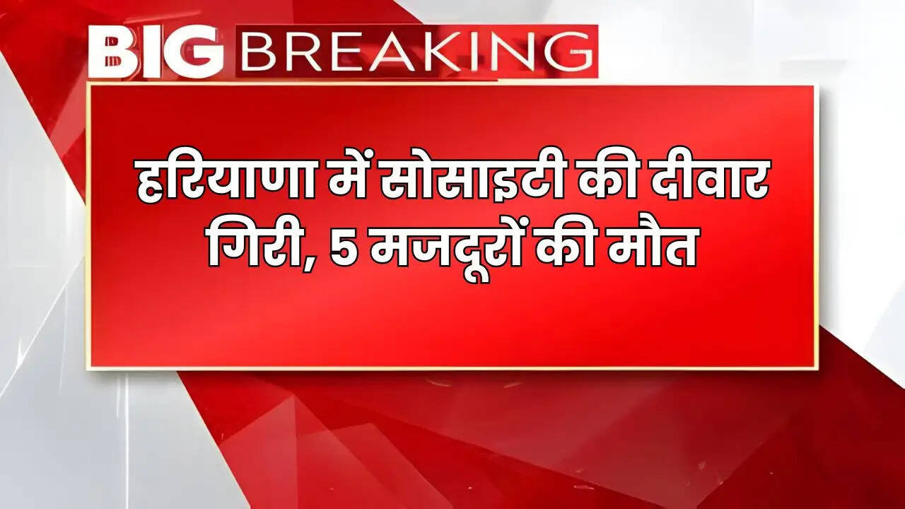 haryana news