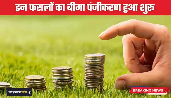 Haryana: हरियाणा में किसानों के लिए खुशखबरी, इन फसलों का बीमा पंजीकरण हुआ शुरू 
