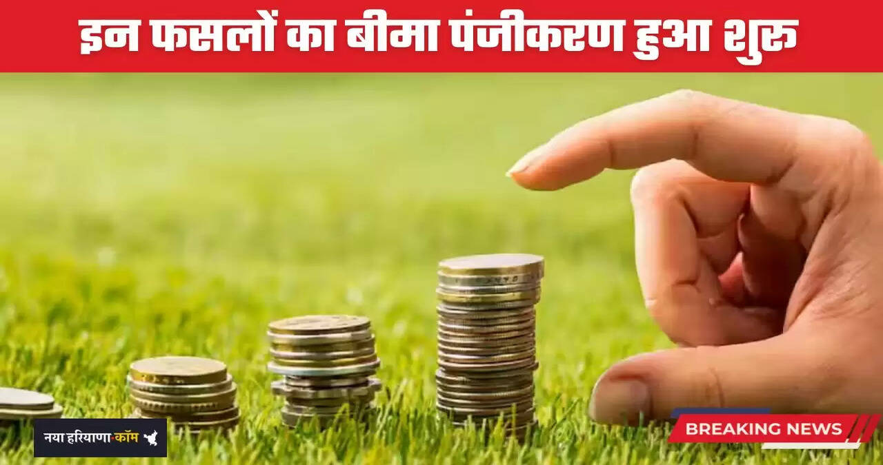 Haryana: हरियाणा में किसानों के लिए खुशखबरी, इन फसलों का बीमा पंजीकरण हुआ शुरू&nbsp;