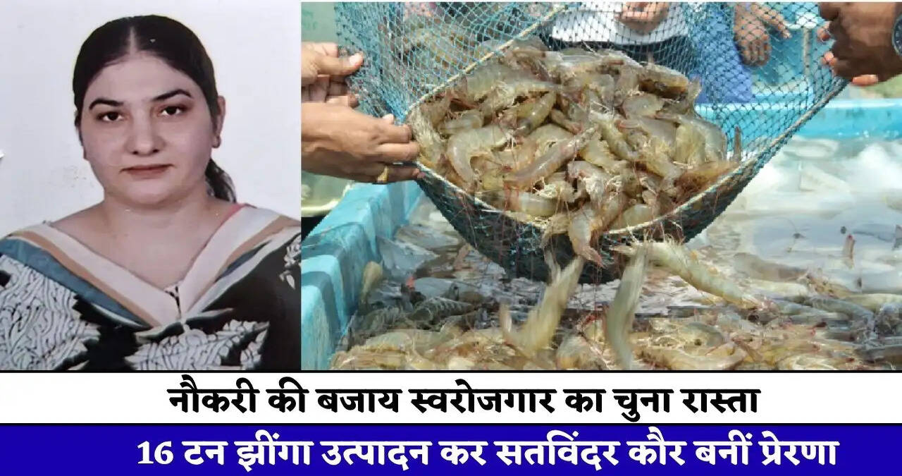 नौकरी की बजाय स्वरोजगार का चुना रास्ता, 16 टन झींगा उत्पादन कर सतविंदर कौर बनीं प्रेरणा