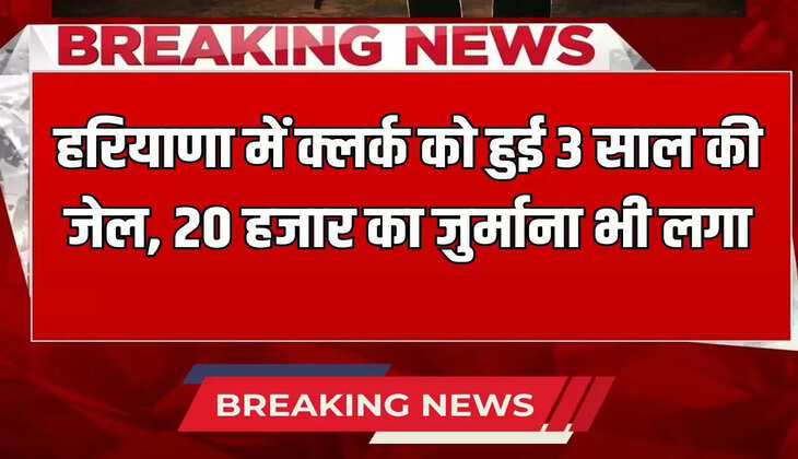 Clerk in Haryana sentenced to 3 years in jail, fined Rs 20,000