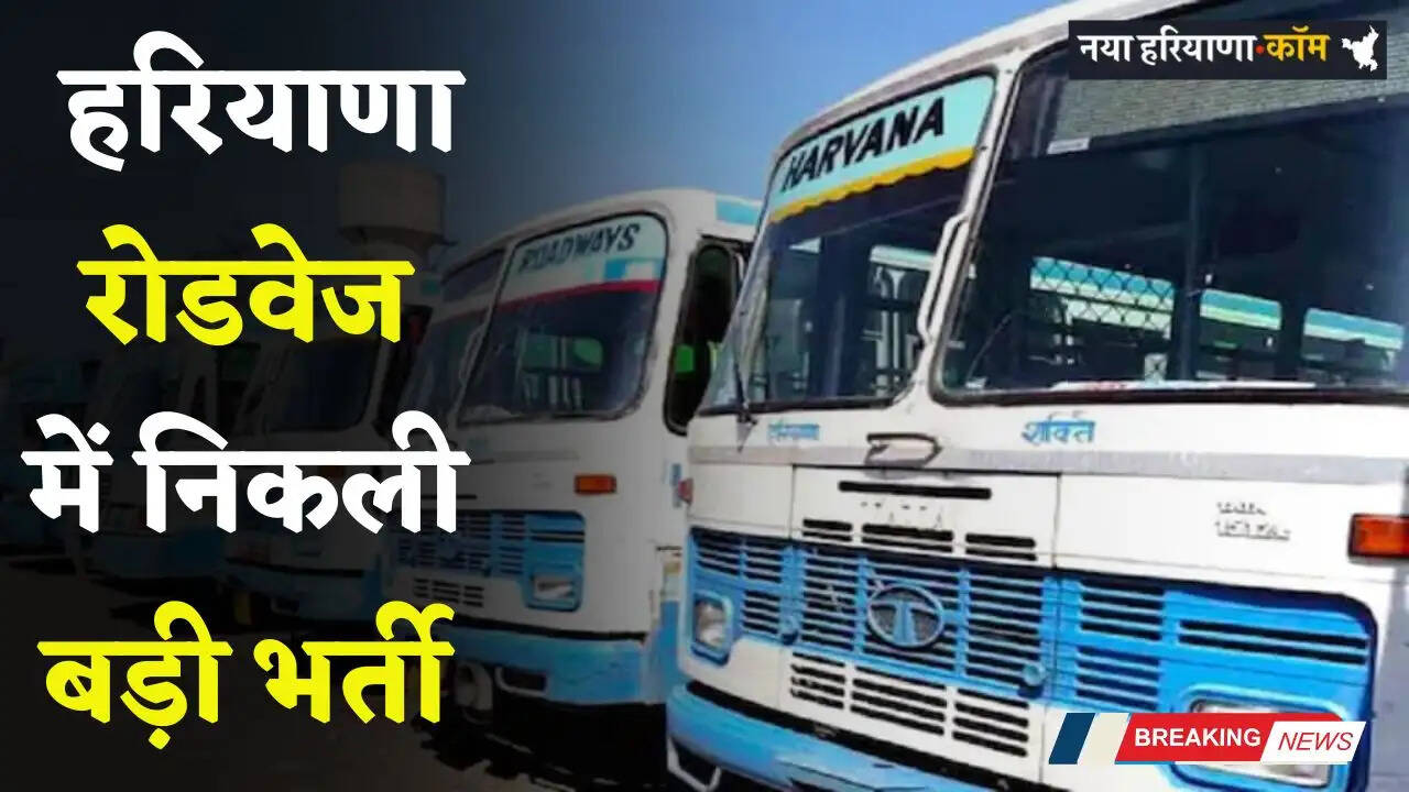 Haryana Roadways Jobs: हरियाणा रोडवेज झज्जर में निकली इन पदों पर भर्ती, 10वीं पास करें आवेदन