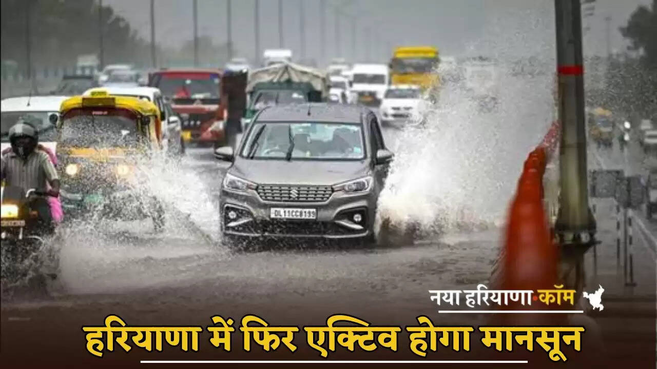 Monsoon will be active again in Haryana