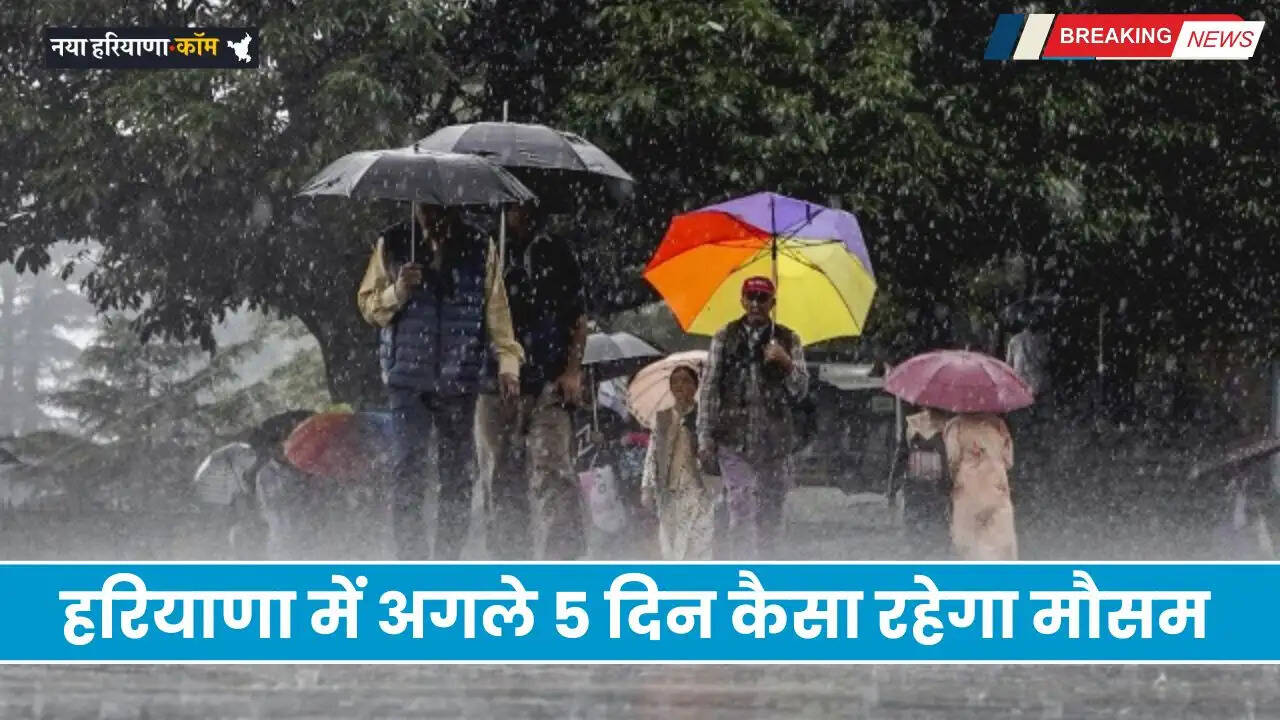 Haryana Weather: हरियाणा में अगले 5 दिन कैसा रहेगा मौसम, देखें कब होगी बारिश ?
