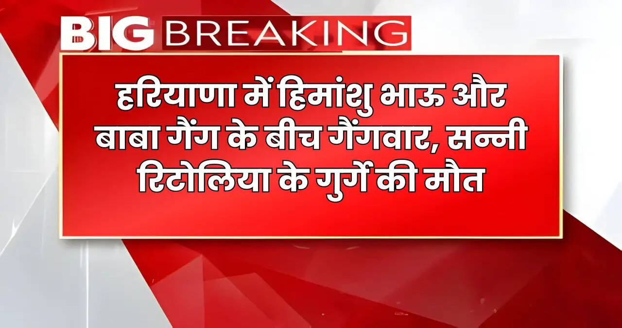 Haryana News