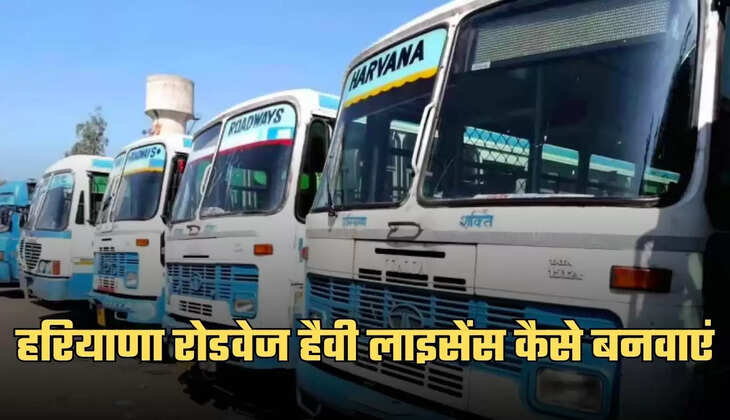 haryana roadways heavy license