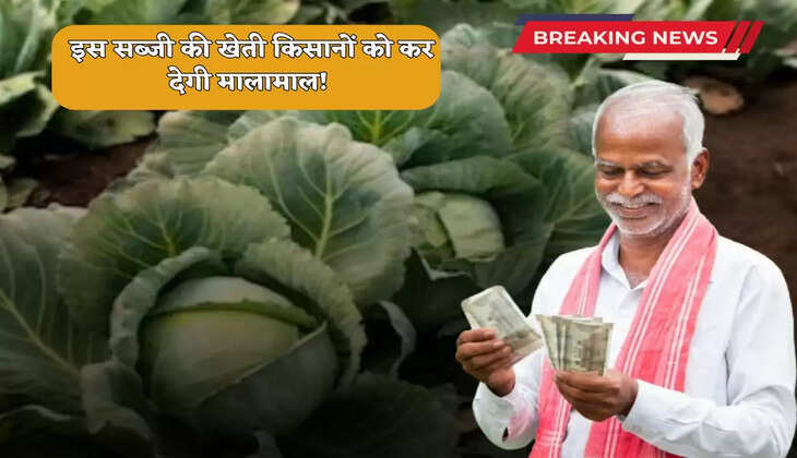Kisan News: Cultivation of this vegetable will make farmers rich! There will be huge profits in the month of September itself