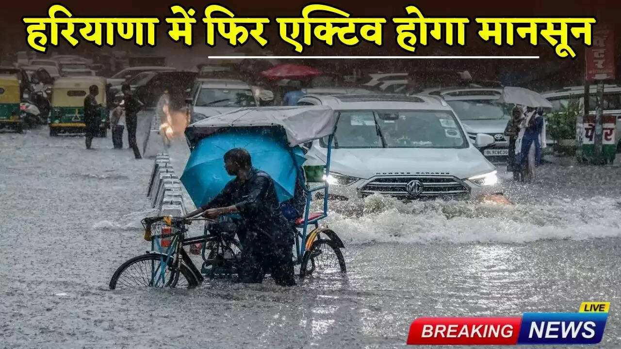 Monsoon will be active again in Haryana