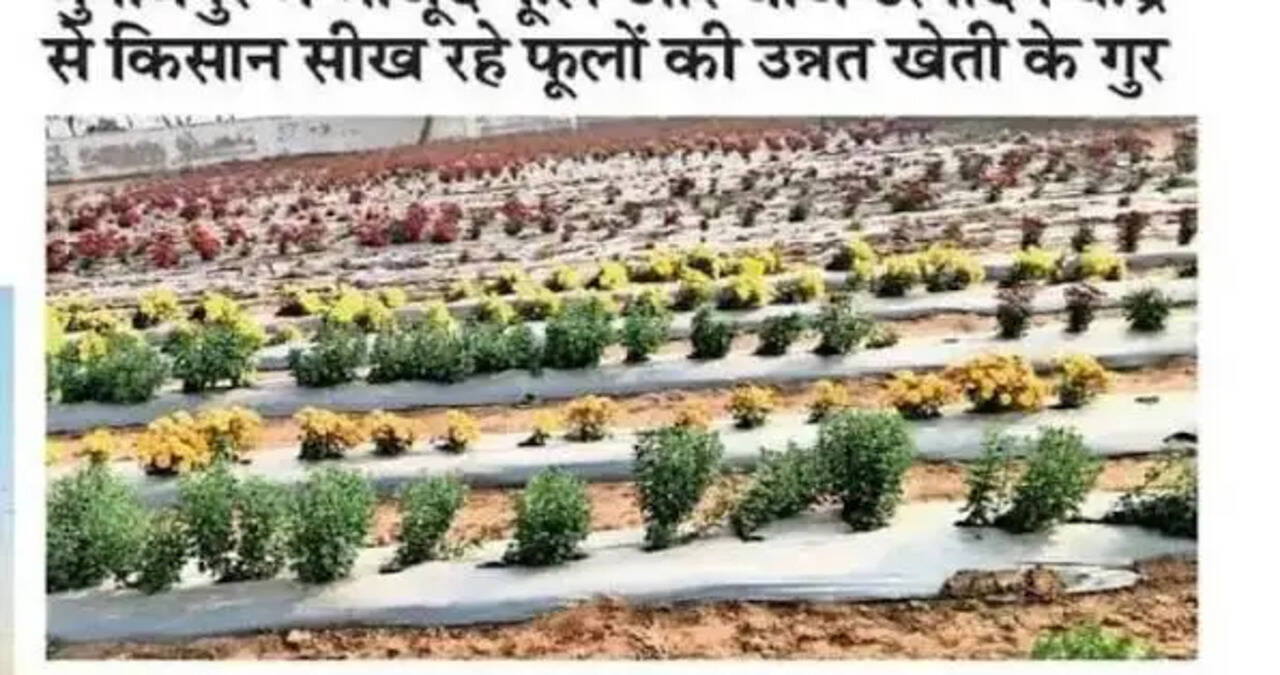 मुनीमपुर (झज्जर) के उत्कृष्टता केंद्र में होगा बागवानी और उन्नत तकनीकों पर पाँच दिवसीय प्रशिक्षण कार्यक्रम  &nbsp;
