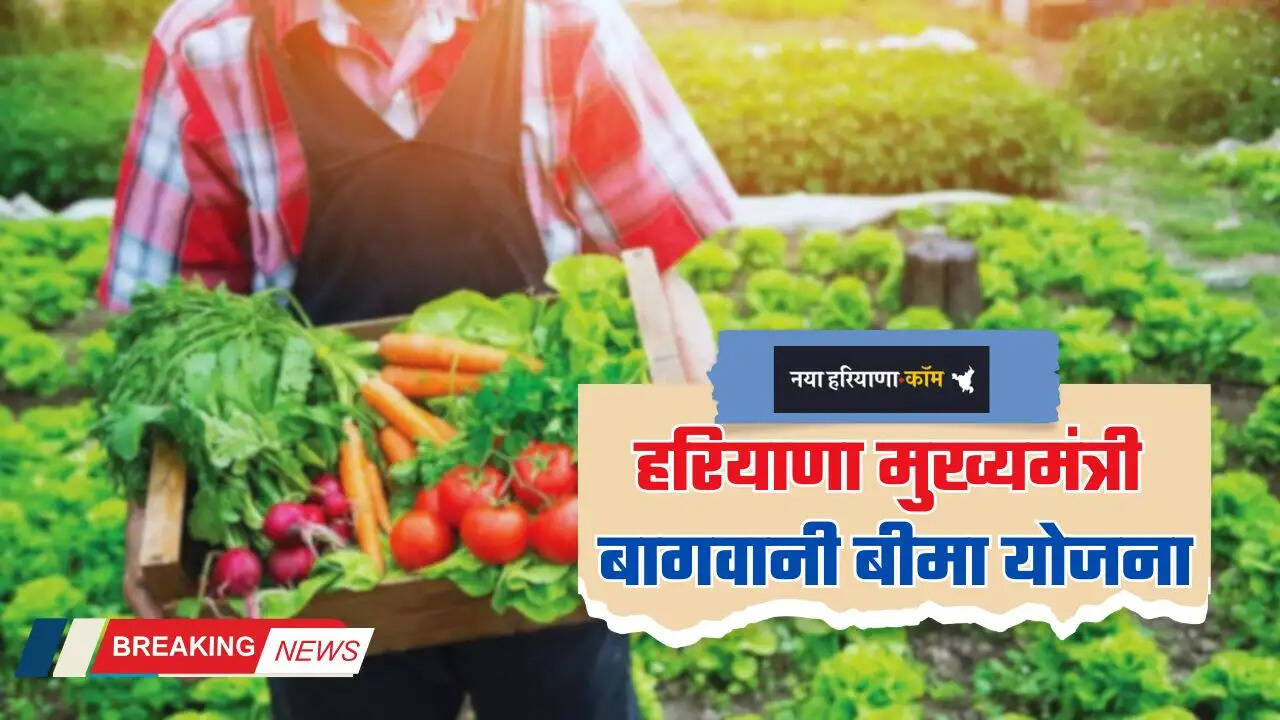 Haryana: हरियाणा में मुख्यमंत्री बागवानी बीमा योजना शुरू, 46 प्रकार की फसलों पर मिलता है मुआवजा