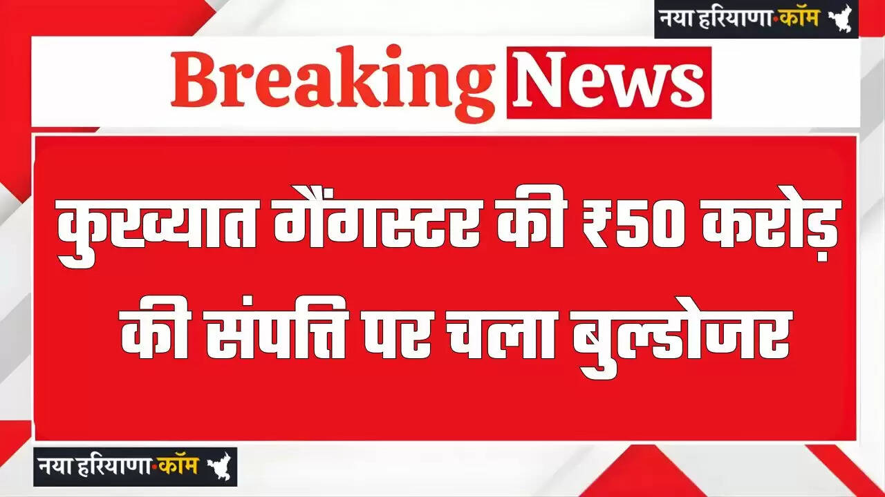 हरियाणा के कुख्यात गैंगस्टर की ₹50 करोड़ की &nbsp;संपत्ति पर चला बुल्डोजर, पुलिस ने ढहाए मकान-दुकान