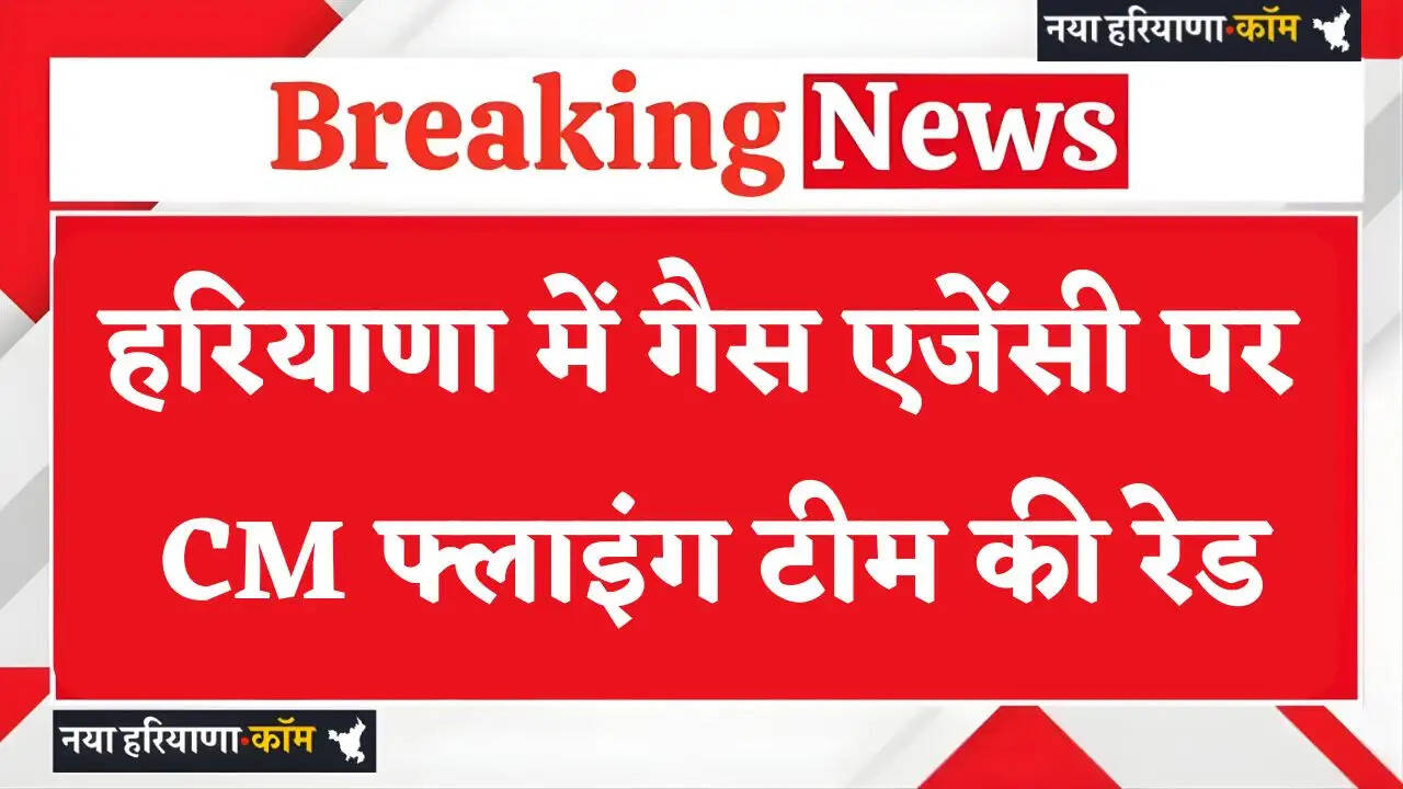 Haryana: हरियाणा में गैस एजेंसी पर CM फ्लाइंग टीम की रेड, भारी मात्रा में अवैध सिलेंडर बरामद