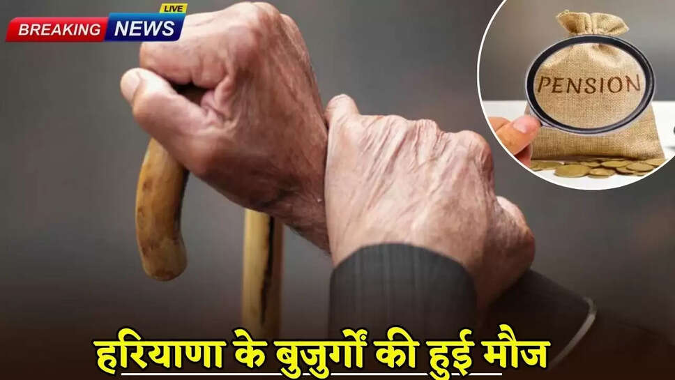 The elderly of Haryana had fun