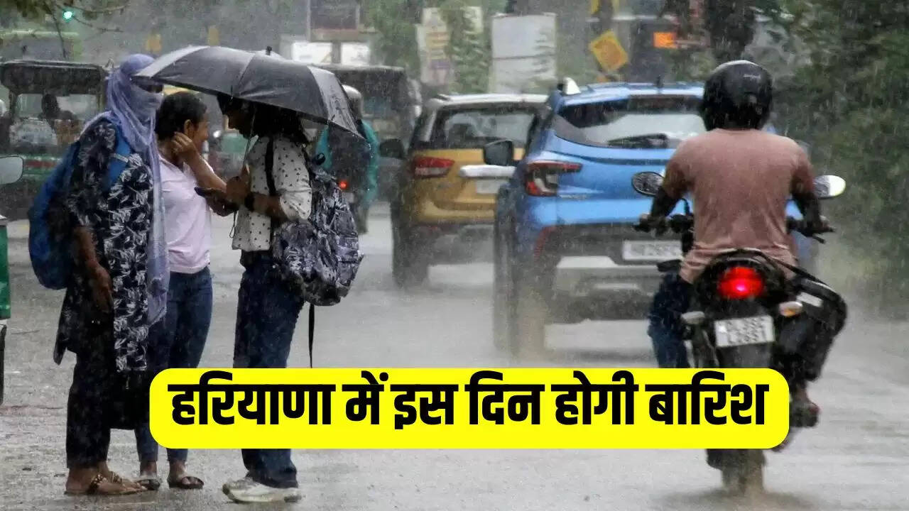 HARYANA WEATHER UPDATE