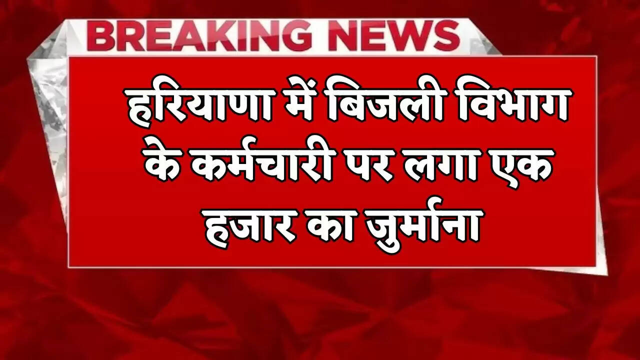 A fine of Rs 1,000 was imposed on an employee of the electricity department in Haryana
