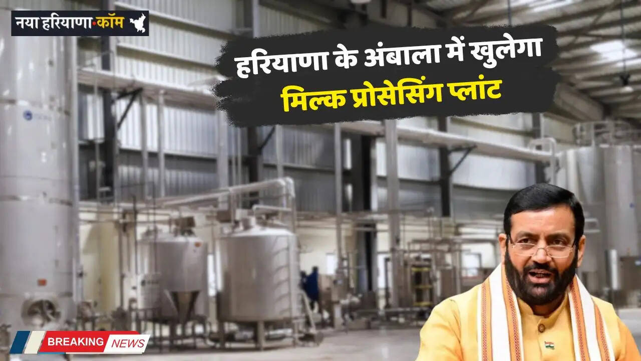 Haryana: हरियाणा के अंबाला में खुलेगा मिल्क प्रोसेसिंग प्लांट, CM सैनी ने की घोषणा