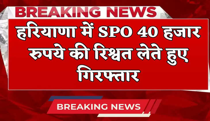 SPO arrested in Haryana while taking bribe of Rs 40 thousand
