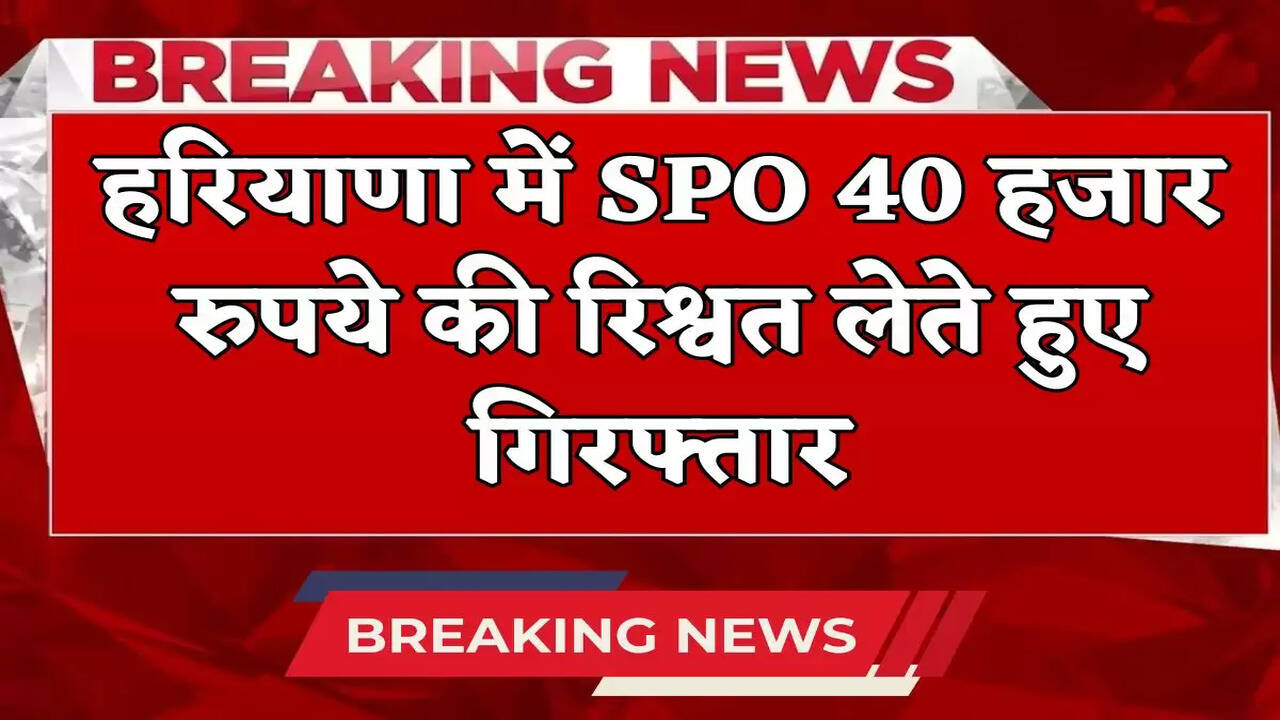 SPO arrested in Haryana while taking bribe of Rs 40 thousand
