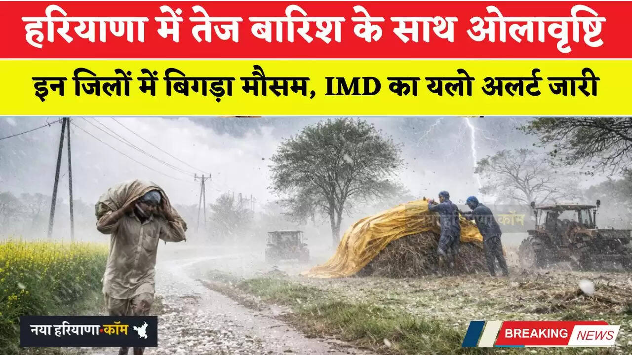 हरियाणा में तेज बारिश के साथ ओलावृष्टि: इन जिलों में बिगड़ा मौसम, IMD का यलो अलर्ट जारी