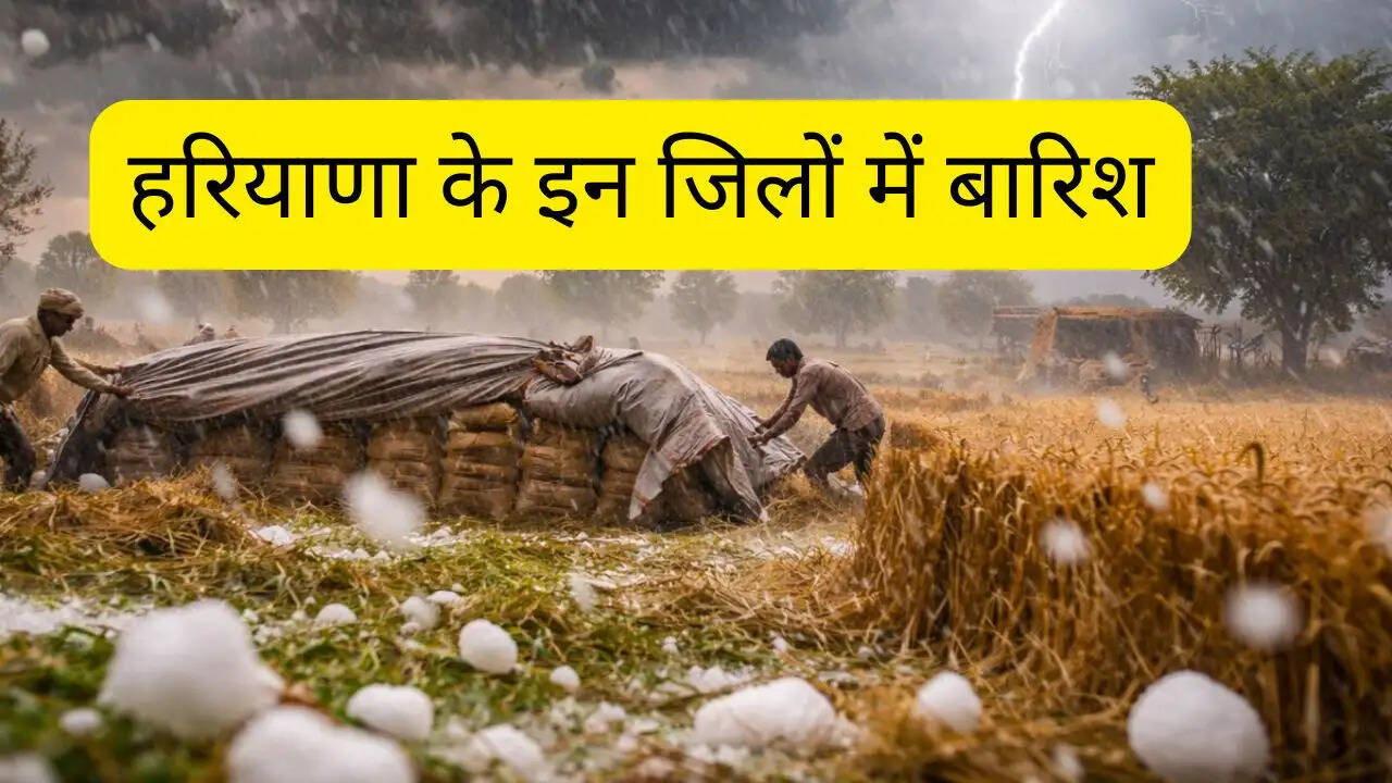 हरियाणा के इन जिलों में बारिश, IMD ने 2 दिन जारी किया यलो अलर्ट &nbsp;&nbsp;